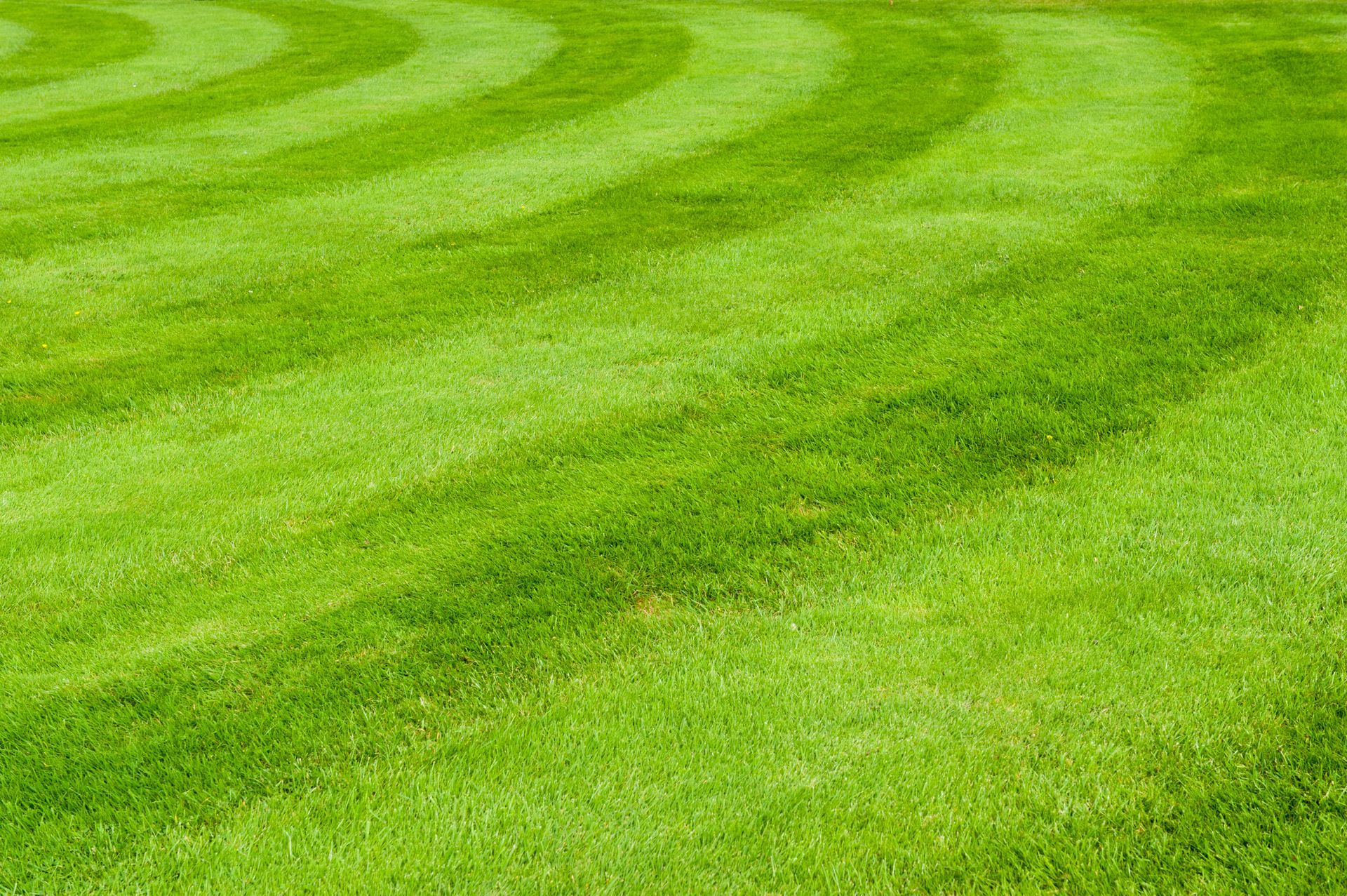 A man is cutting the grass with a lawn mower.