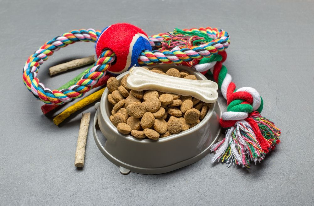 A Bowl Of Dog Food And Toys On A Table — Cessnock Pet & Greyhound Supplies in Lake Macquarie, NSW