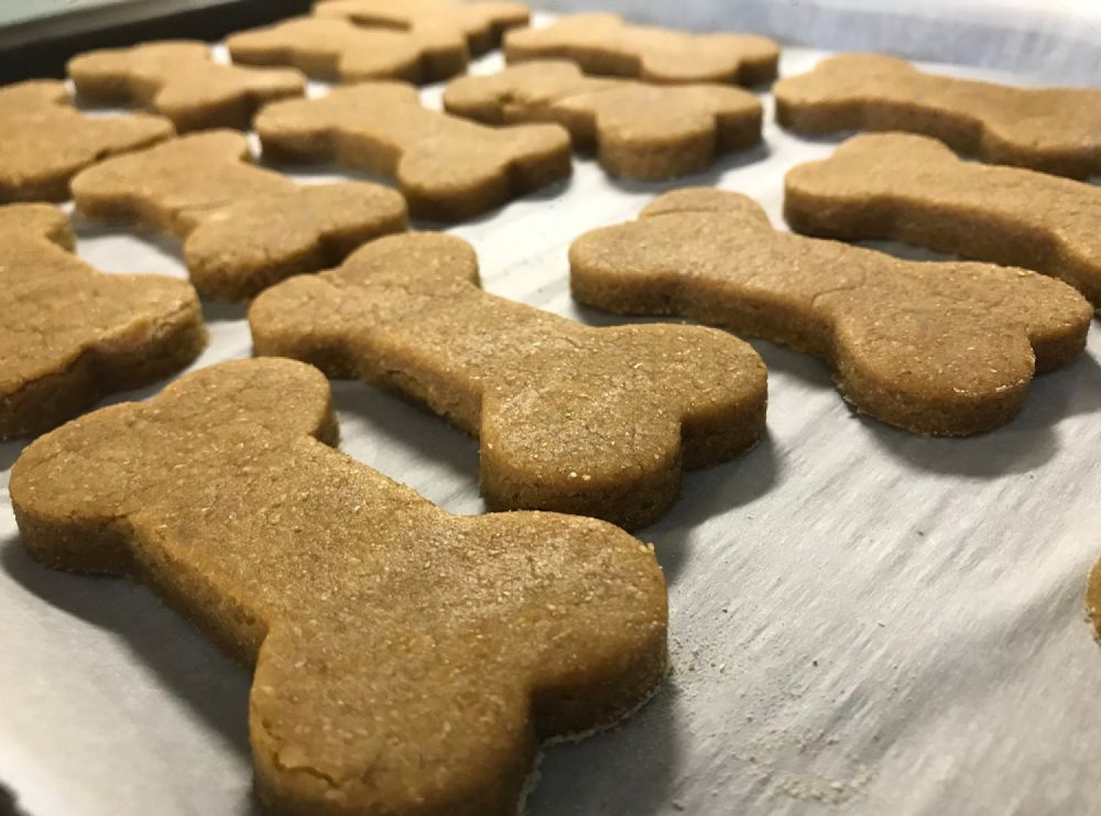 A Tray Of Dog Treats In The Shape Of Bones — Cessnock Pet & Greyhound Supplies in Cessnock, NSW