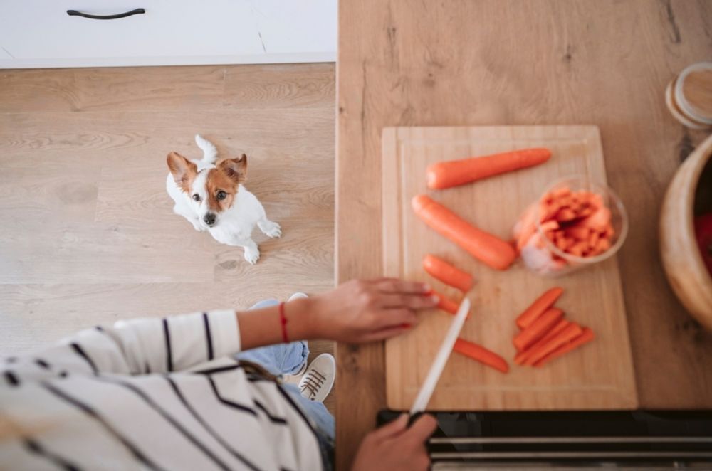A Woman Is Cutting Carrots On A Cutting Board While A Dog Watches — Cessnock Pet & Greyhound Supplies in Wyong, NSW