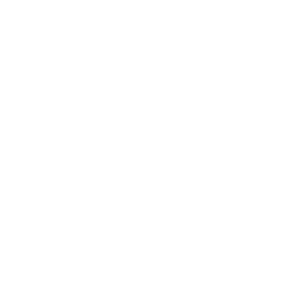 The View Logo