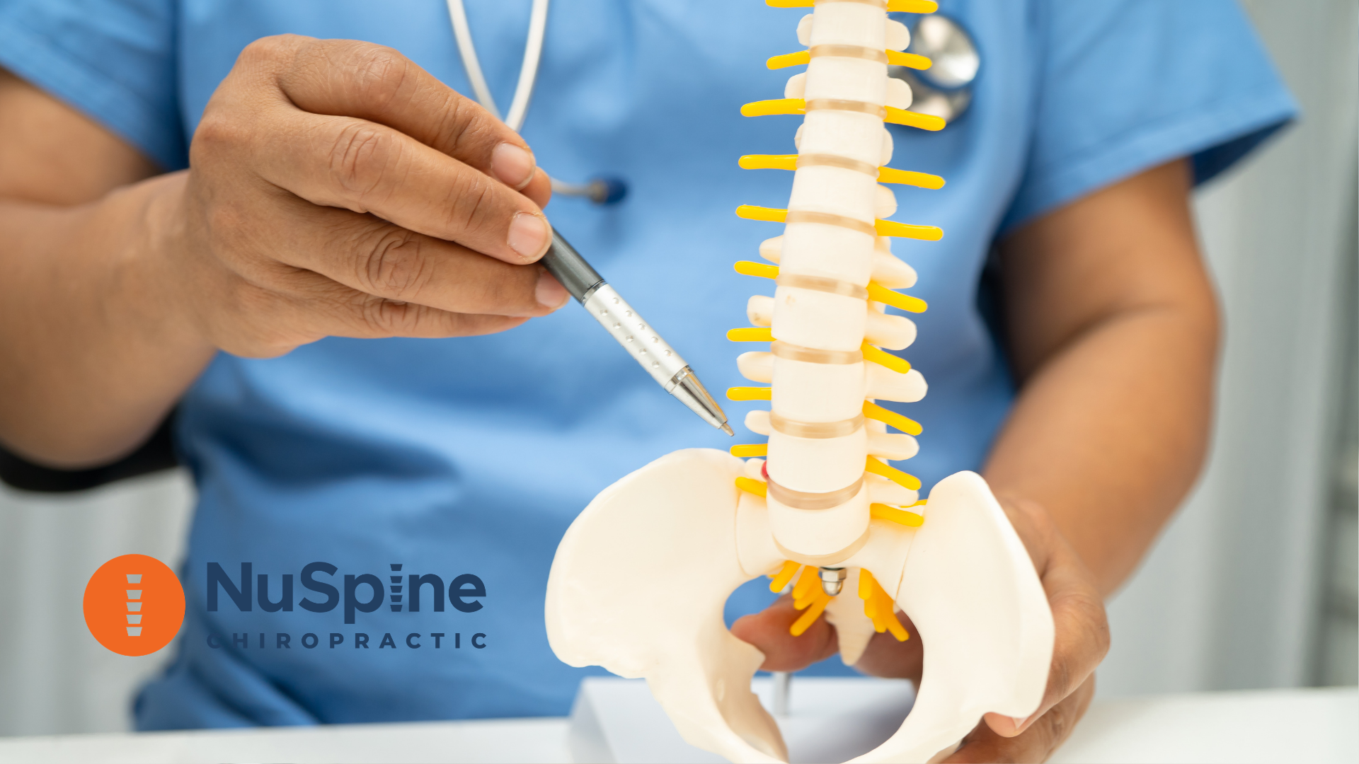 A person in blue scrubs points a pen at the L5 vertebra of a plastic spine model.