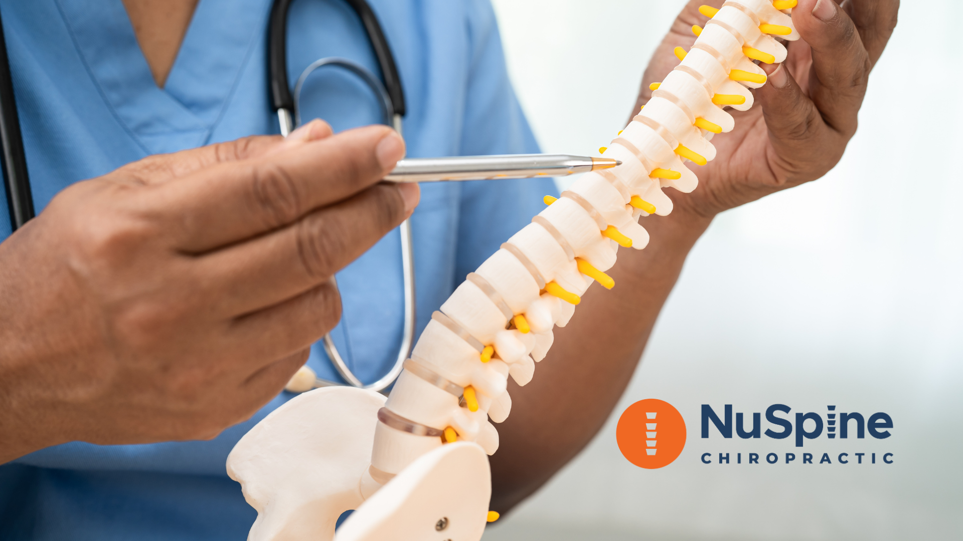 Doctor pointing at a spine model, explaining spinal anatomy.