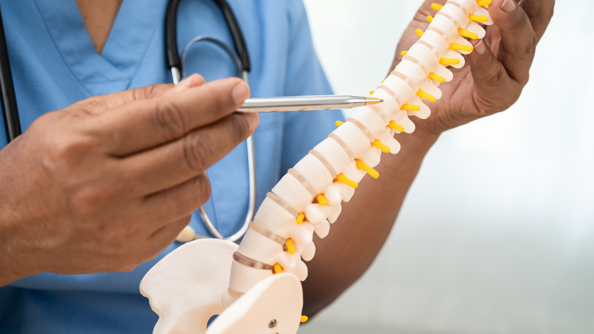 Doctor points to a model spine, wearing blue scrubs and a stethoscope.