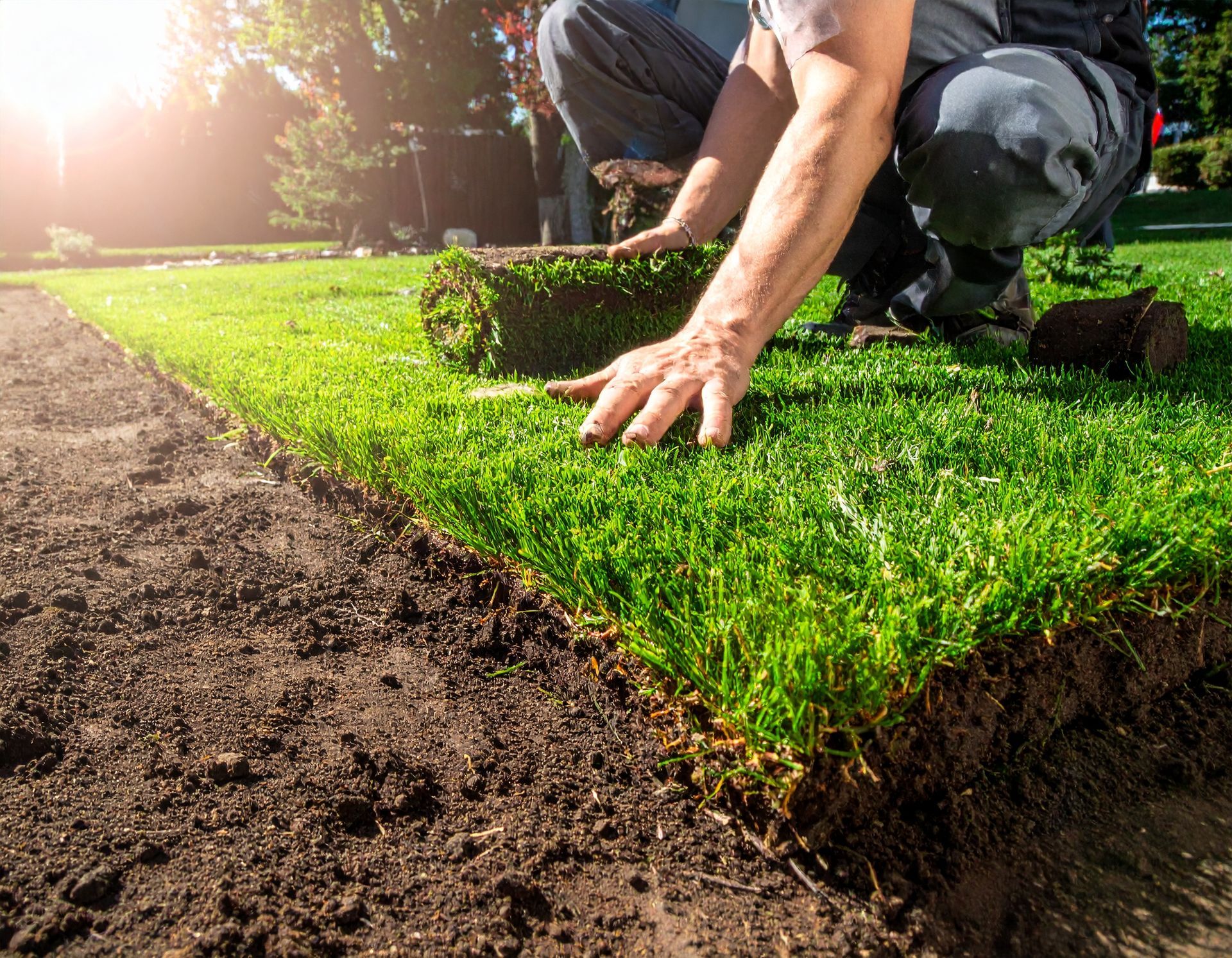 A person kneeling and laying down rolls of green sod on top of prepared soil in a sunlit outdoor area.