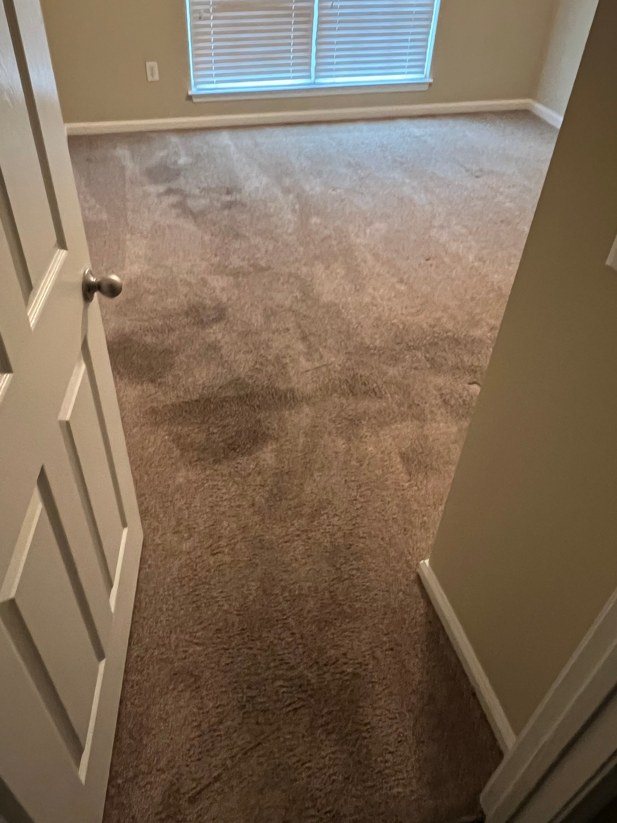 A bedroom with a carpeted floor and a window.