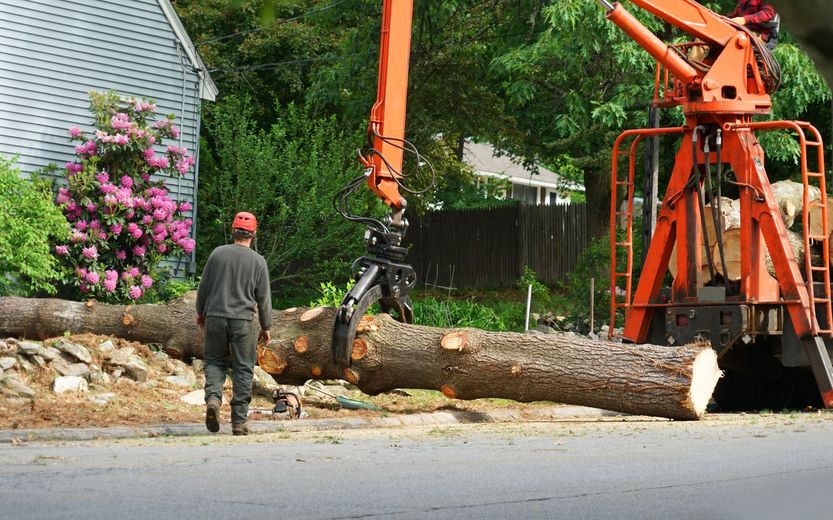 A man is standing in front of a large log being lifted by a crane.