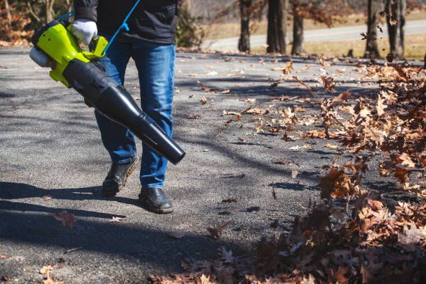 Tractor Brush for Cleaning Roads — Morning Star Sweeping Services Inc