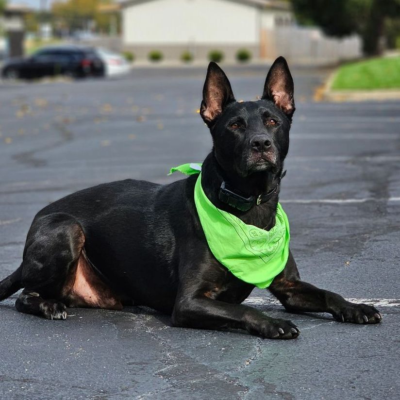 Max