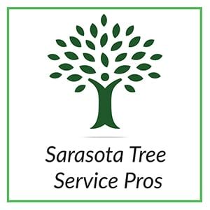 sarasota tree service pros