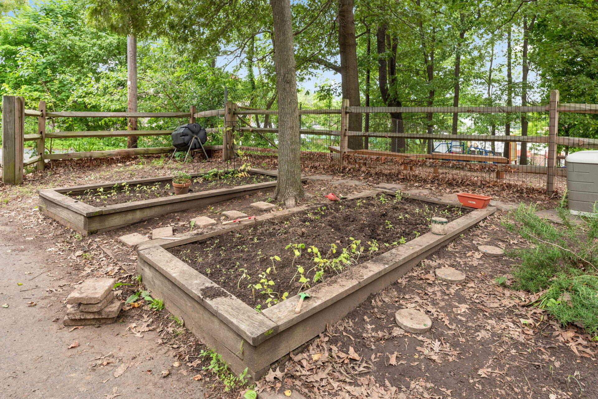 Two wooden raised garden beds with young plants, surrounded by a wooden fence and trees.