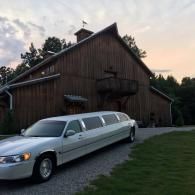 stretch limousine - gray