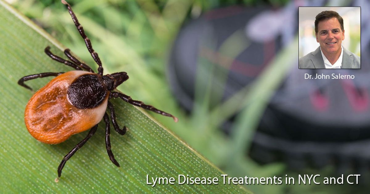 glutathione lyme disease The Types of IV Treatments for Lyme Disease main image 0