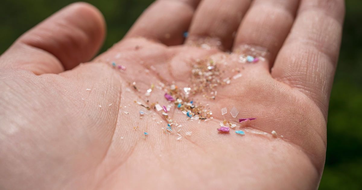 Hand holding a scattering of colorful microplastics, likely from a beach.Microplastic Toxicity Treatments NYC - Dr. John Salerno