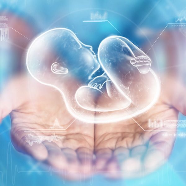 a 3D computer image of A person is holding a baby in their hands representing Infertility Treatments