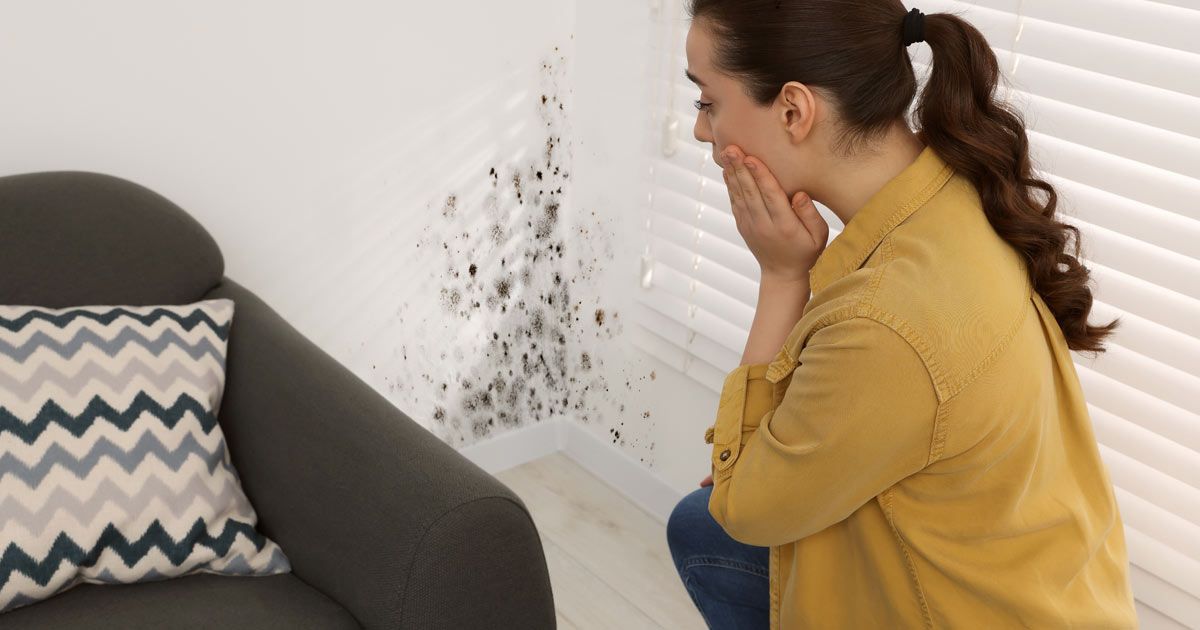 A woman looks at mold growth on a wall near a chair and window, needing a Mold Toxicity Treatment NYC by Dr. John Salerno