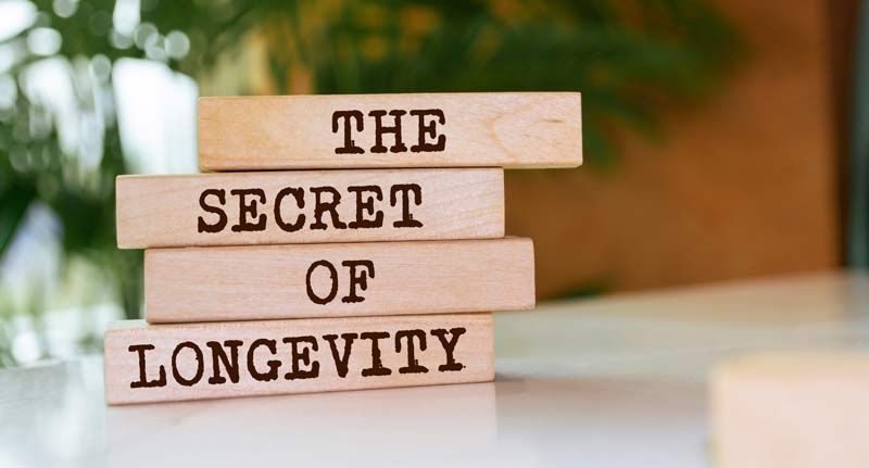 Wooden blocks stacked with text: 