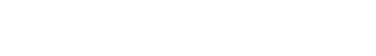 FMZ Team Logo