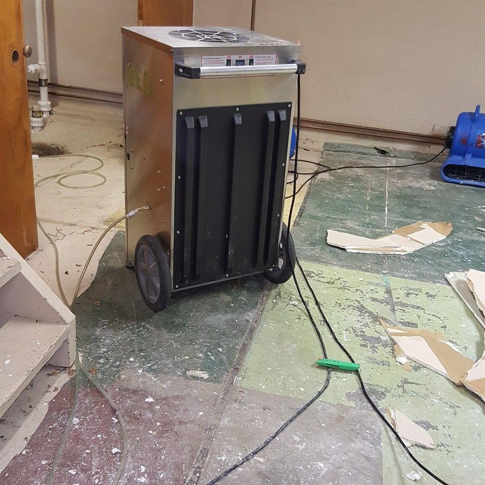 Roof Silent Leaks — Overland, MO — Earth’s Solutions Environmental