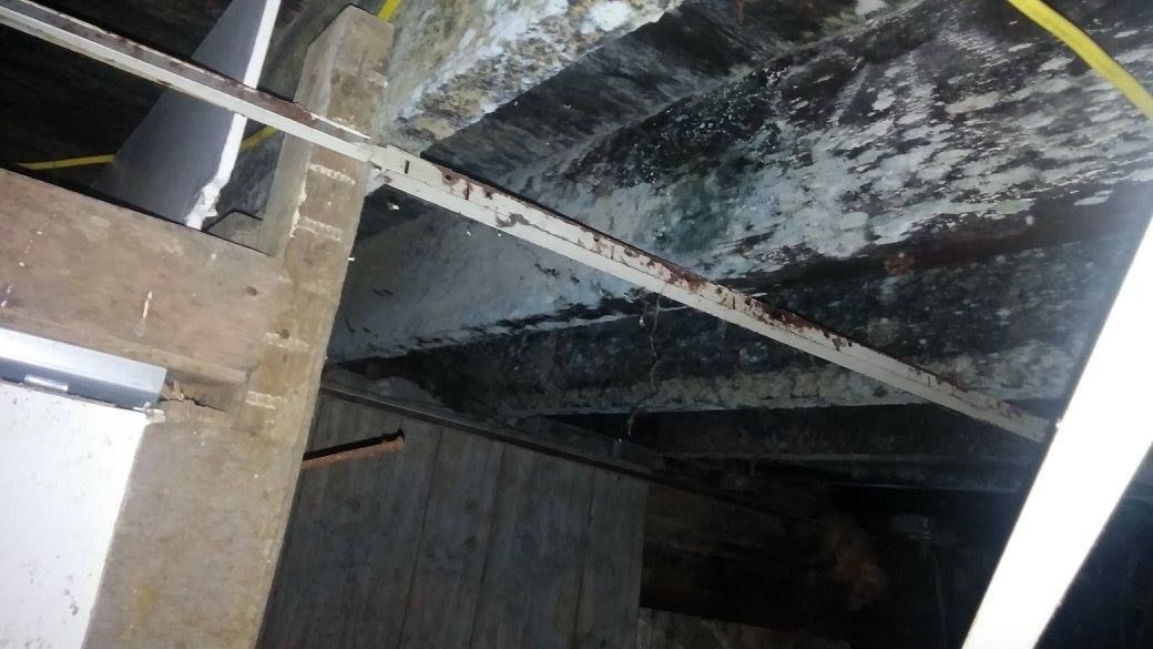 Mold Removal — Overland, MO — Earth’s Solutions Environmental