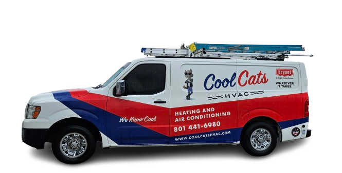 A cool cats van with a ladder on top of it