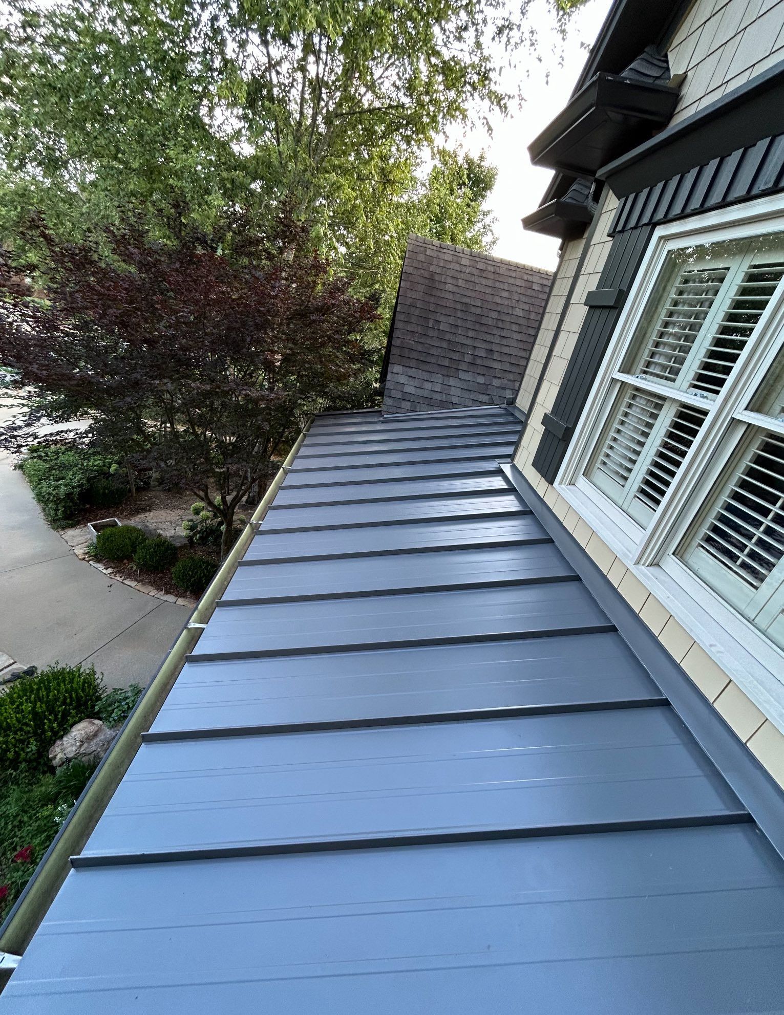 Blue metal roof on a house, next to a white-framed window with shutters, and a walkway surrounded by landscaping.