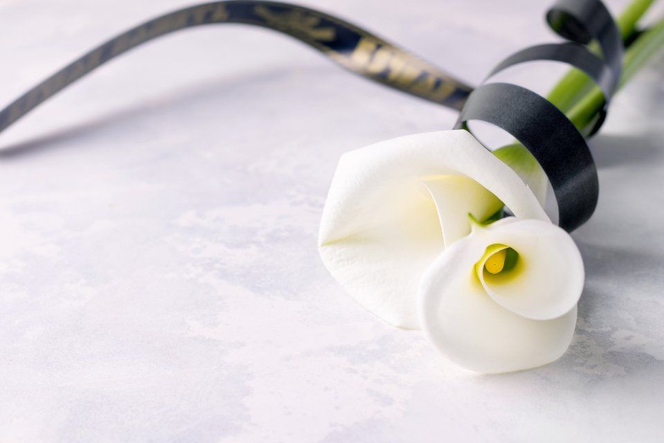 fiore bianco su lapide