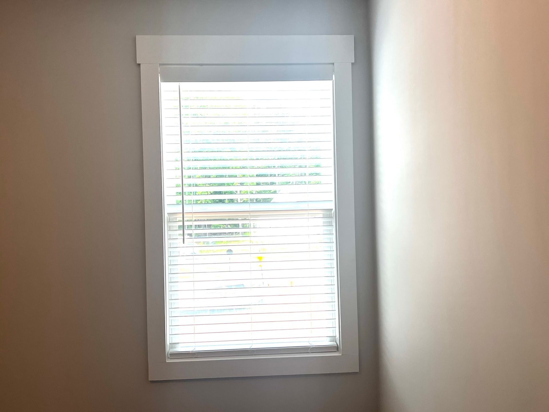 Blinds 36