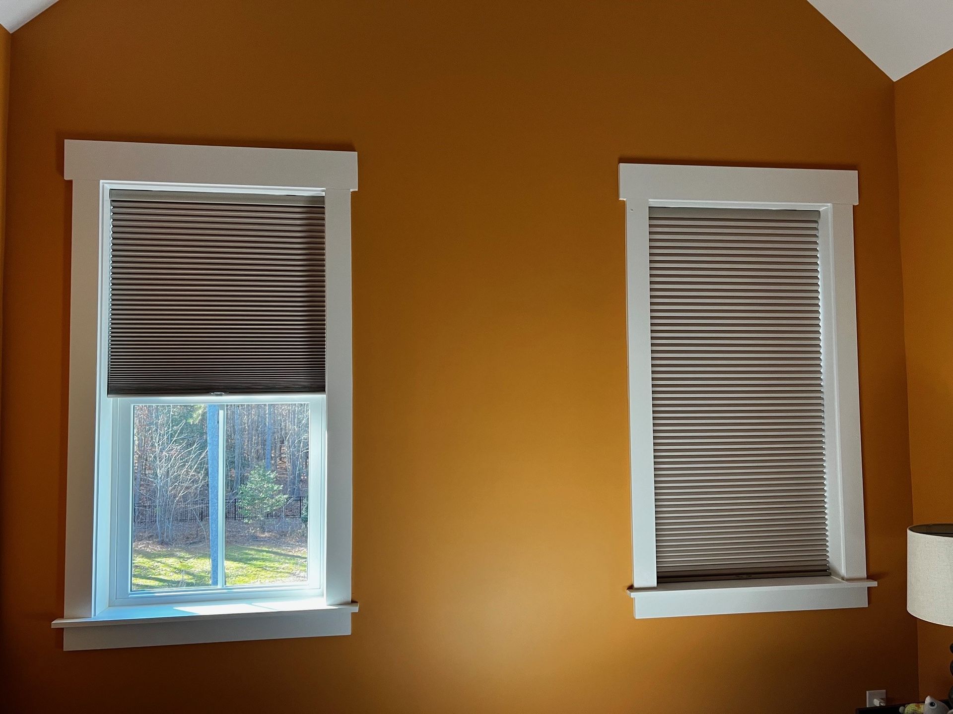 Cellular Shades 5