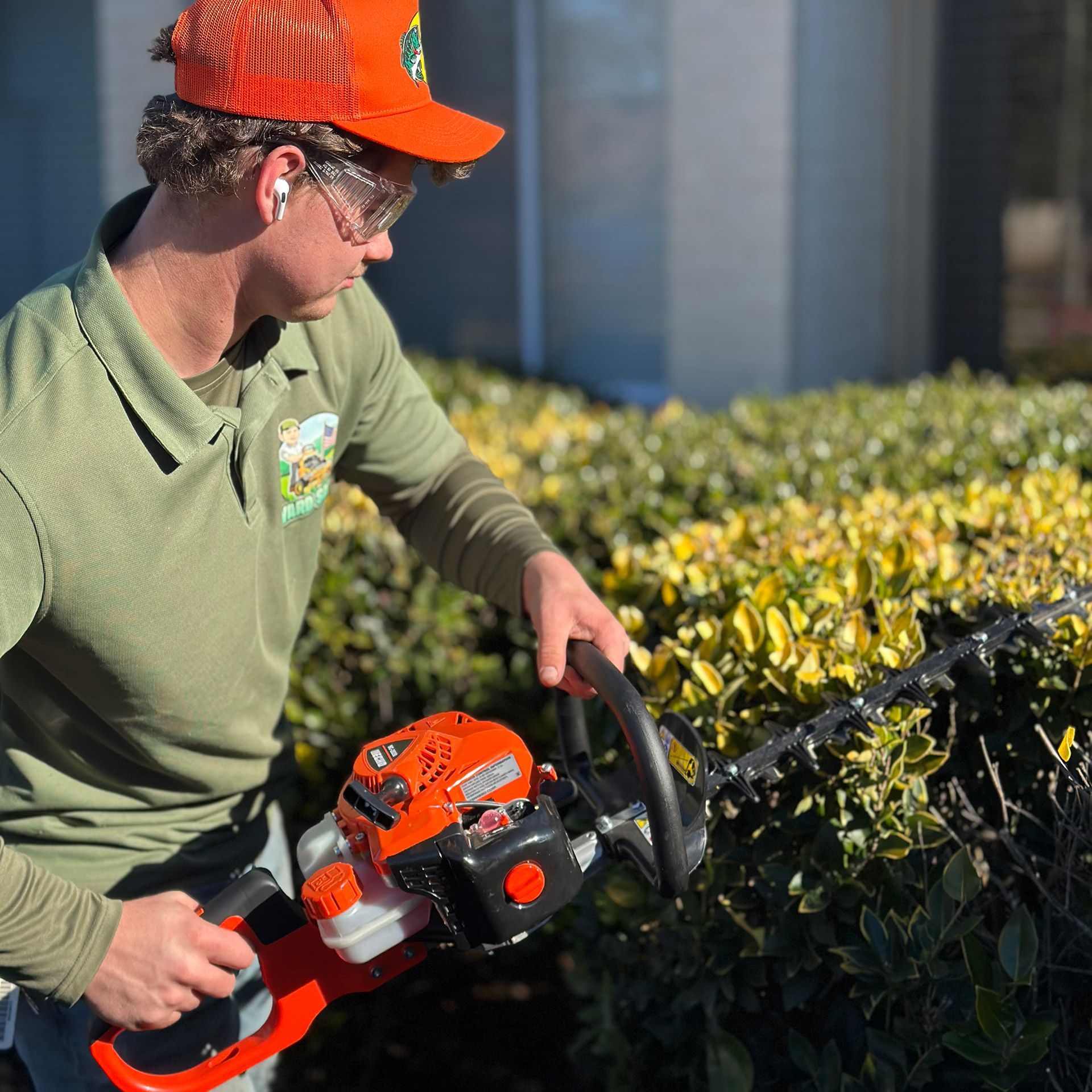 A professional landscaper wearing an orange cap and safety glasses trims a hedge with a gas-powered hedge trimmer.