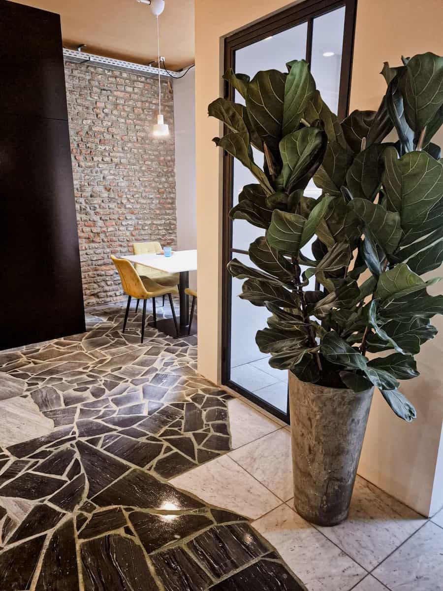 Homemade pasta hanging