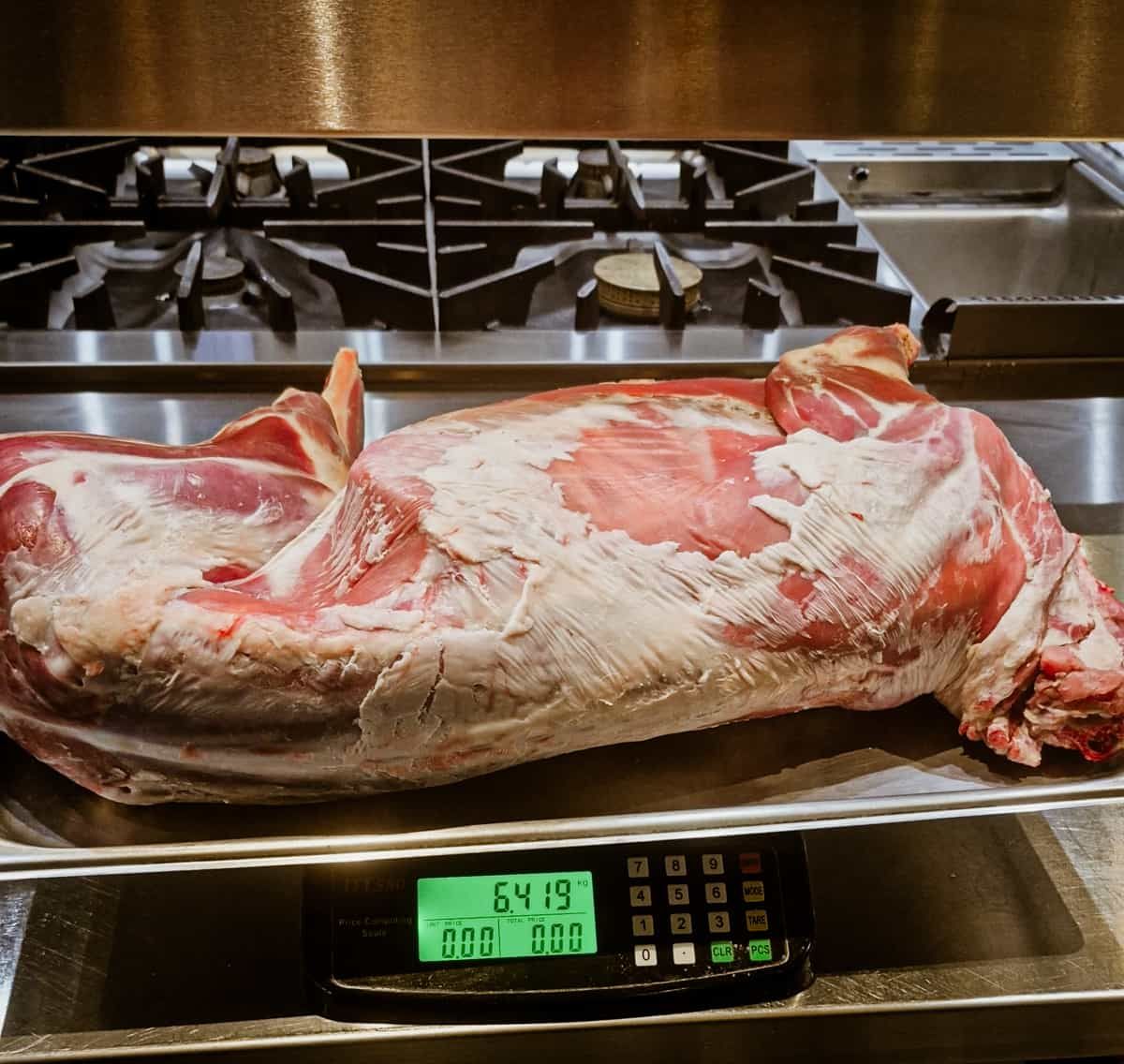 Lamb cuts on a scale