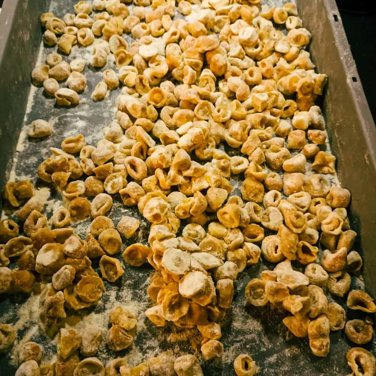 Fresh gnocchi prepared in trays