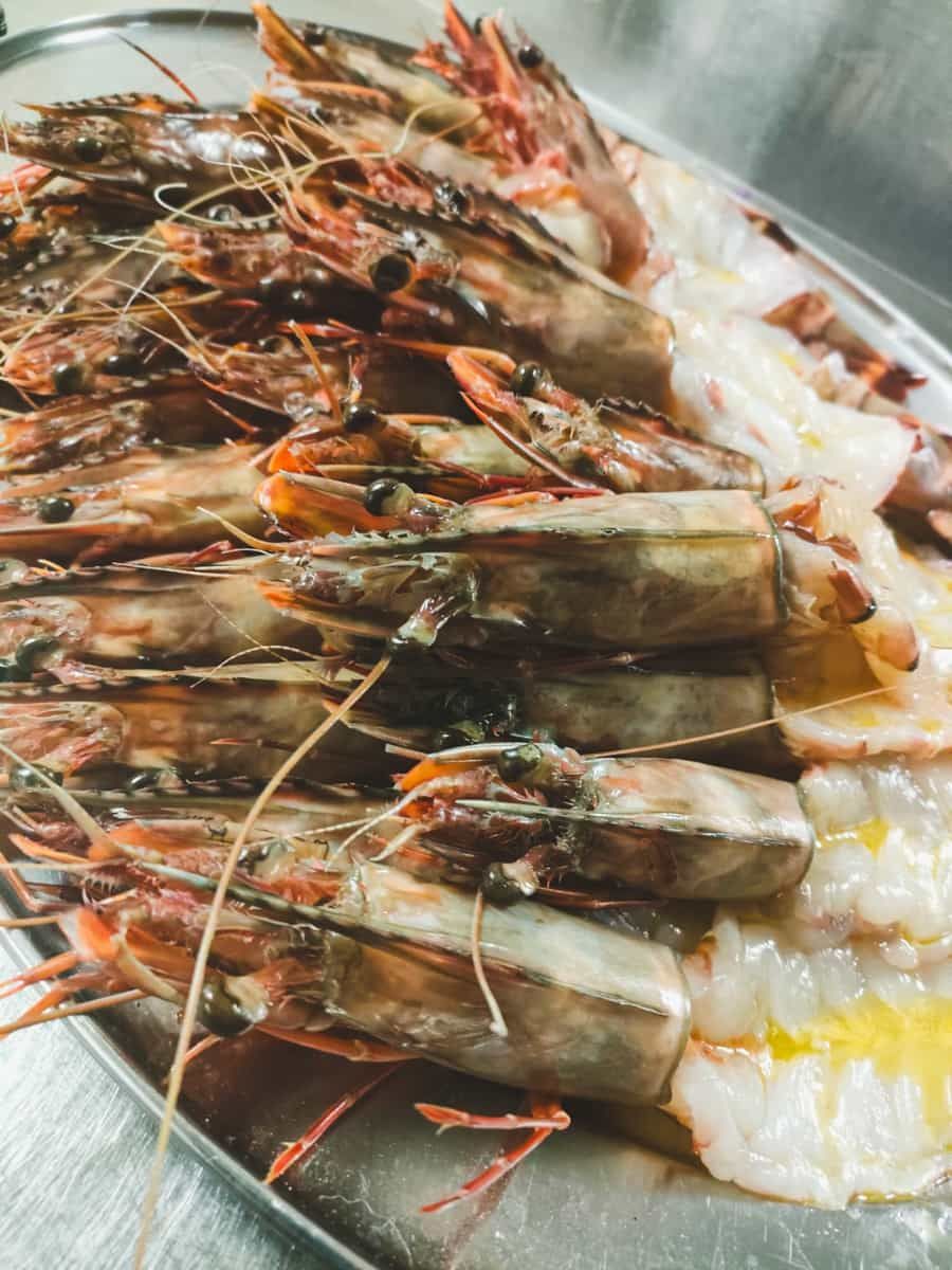 Raw scampi on ice