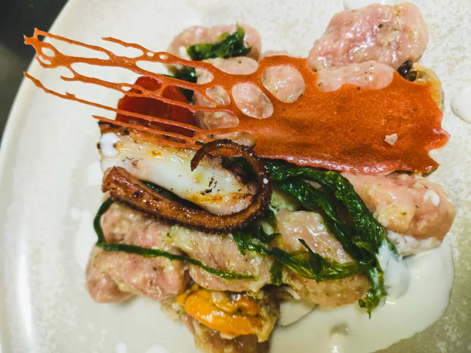 Octopus antipasto on a plate
