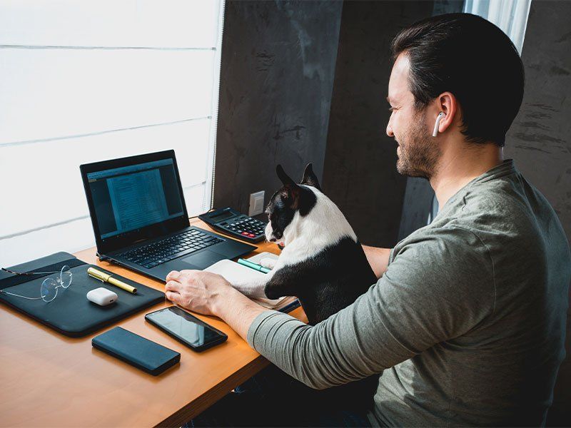 man and dog with laptop