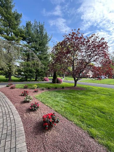 A lush green park with trees and flowers on a sunny day.