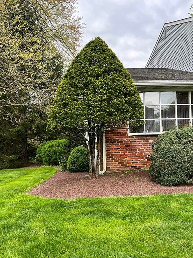 A brick house with a large tree in front of it.