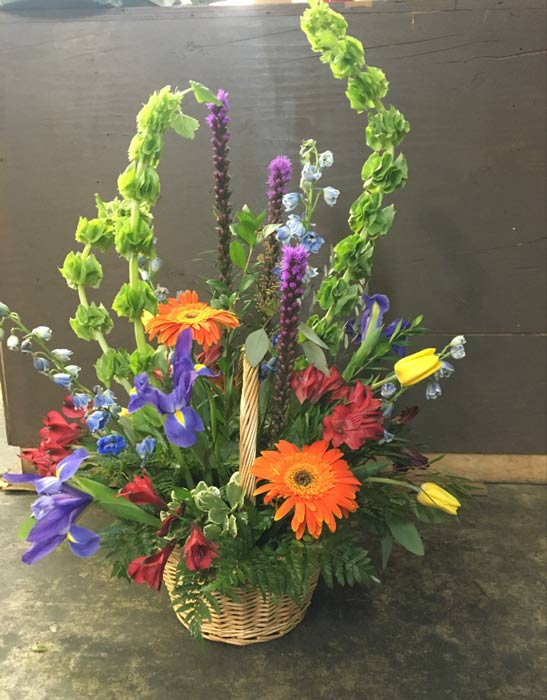 Flowers For Sale — Flower And Plants in Ridgeland, MS