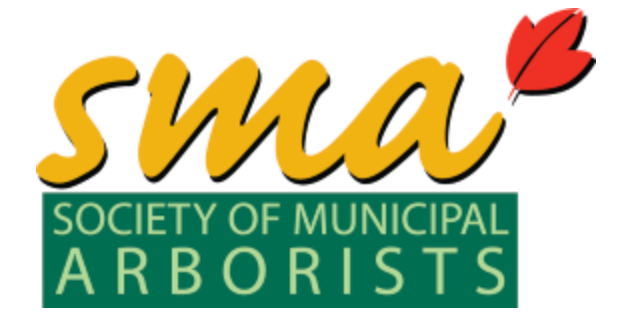 A badge that says disabled veteran owned business