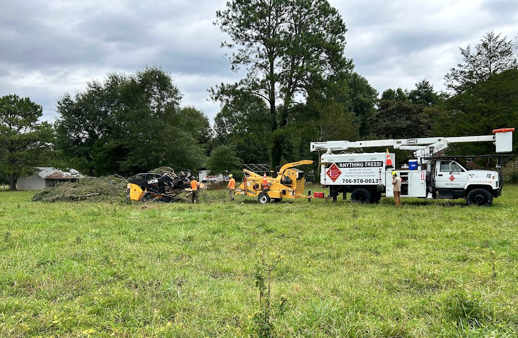 A group of people are standing in a grassy field next to a truck.