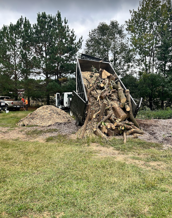 A dumpster is filled with logs in a field.