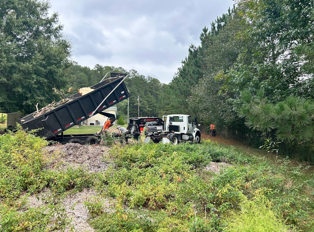 A dump truck is driving down a dirt road next to a forest.