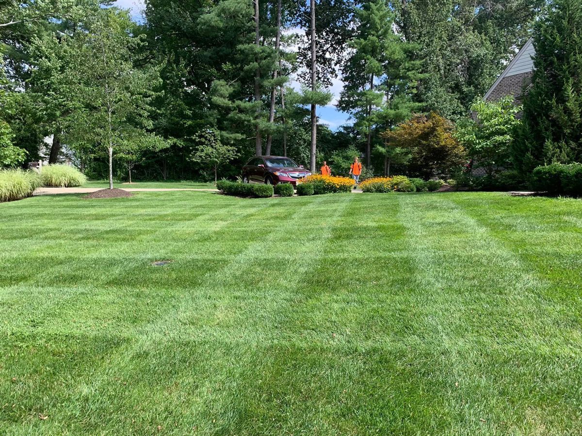 Green Lawn with Trees — Saint Louis, MO — Zerr Lawn Care & Landscape LLC