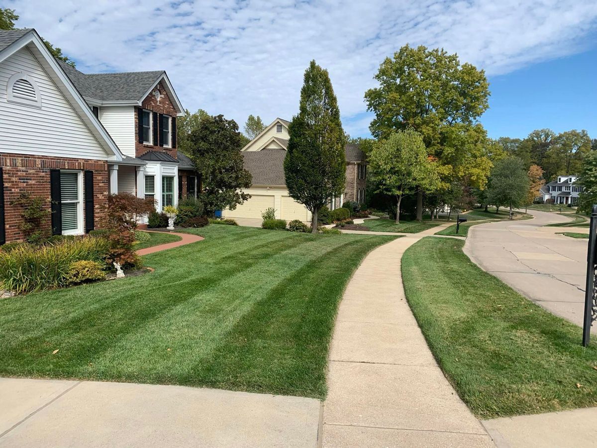 Green Lawn and a Sidewalk — Saint Louis, MO — Zerr Lawn Care & Landscape LLC