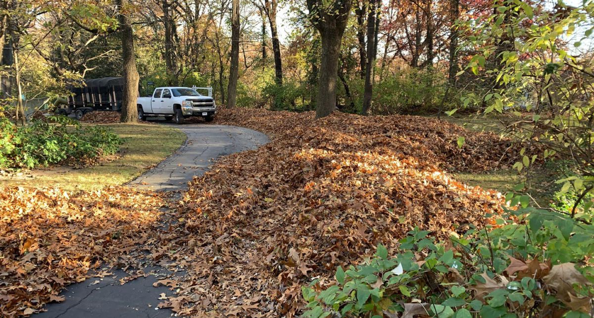 Driveway Filled with Leaves — Saint Louis, MO — Zerr Lawn Care & Landscape LLC