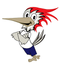 Cartoon woodpecker with red hair, smiling, arms crossed, wearing blue shorts.