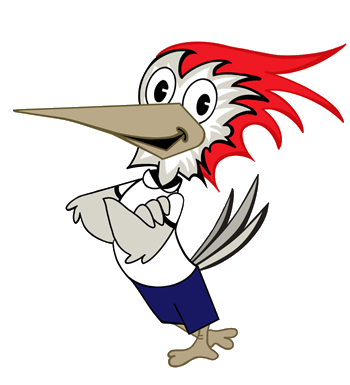 Cartoon woodpecker with red hair, smiling, arms crossed, wearing blue shorts.