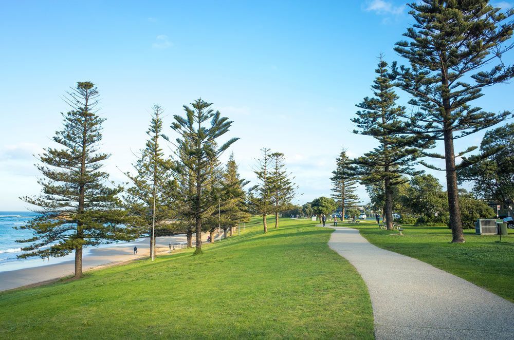 A Path in A Park with Trees and Grass Leading to The Ocean — Sunworks Eco Plumbing In Torquay, VIC