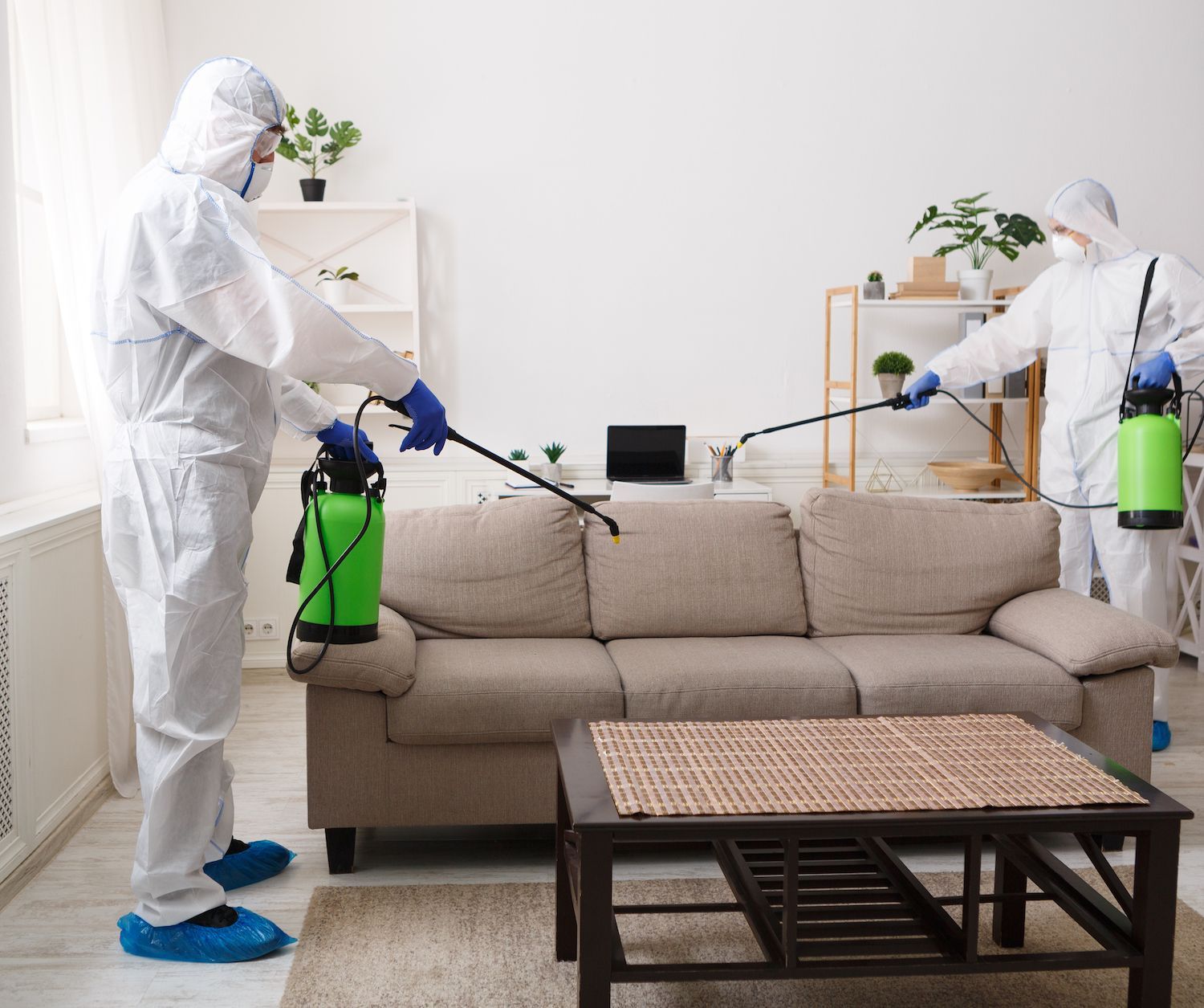 How Long Do Pest Control Treatments Last in MidMo? BugOut Pest Control
